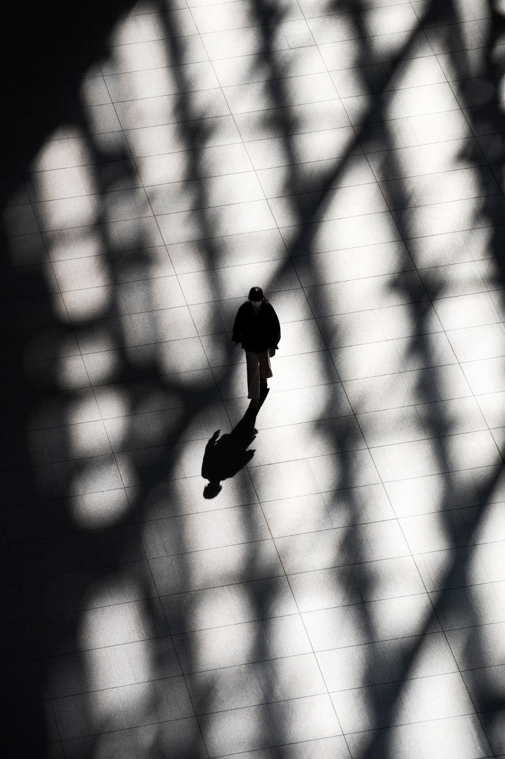 Person Silhouette City